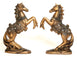 Dalax- 10.5 Inch Stallion Horse Standing Statue , Art Figurine Home, Kitchen Decor Accent