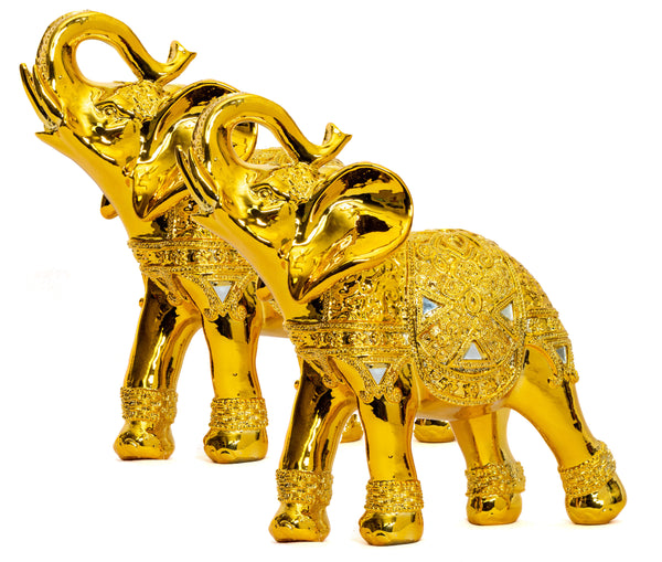 ◆BLUE ELEPHANT◆ CALIX gold MUSINSA | BLUE ELEPHANT CALIX-S blue tint