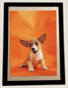 Products Picture/ Sign Holder Pockets with Adhesive Back, Plastic Frames Display, 8.5 x 11.6 Inches, 6 Pack